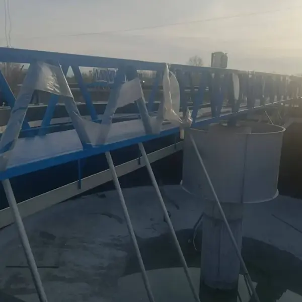 ਬਾਇਓਕੈਮੀਕਲ ਗਾੜ੍ਹਾਪਣ ਟੈਂਕ ਪੈਰੀਫਿਰਲ ਟ੍ਰਾਂਸਮਿਸ਼ਨ ਹਾਫ ਬ੍ਰਿਜ ਸਕ੍ਰੈਪਰ