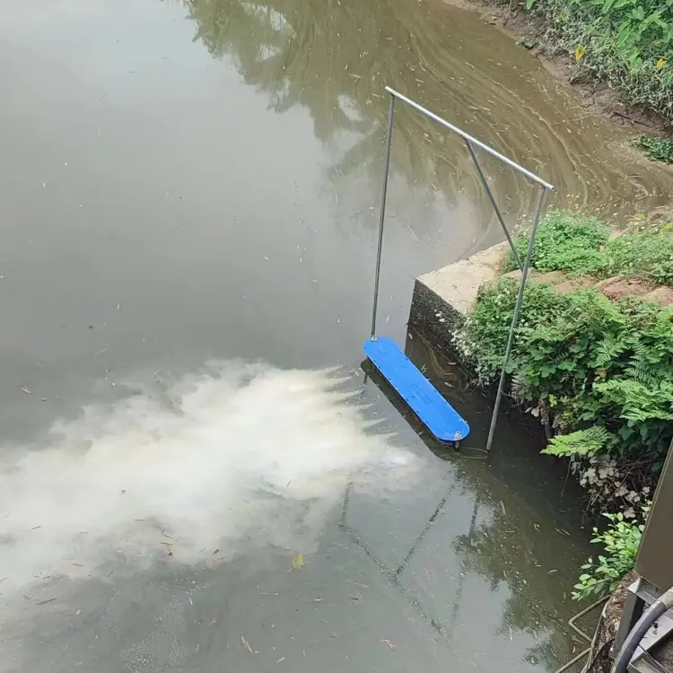 Shore type micro-nano aerator