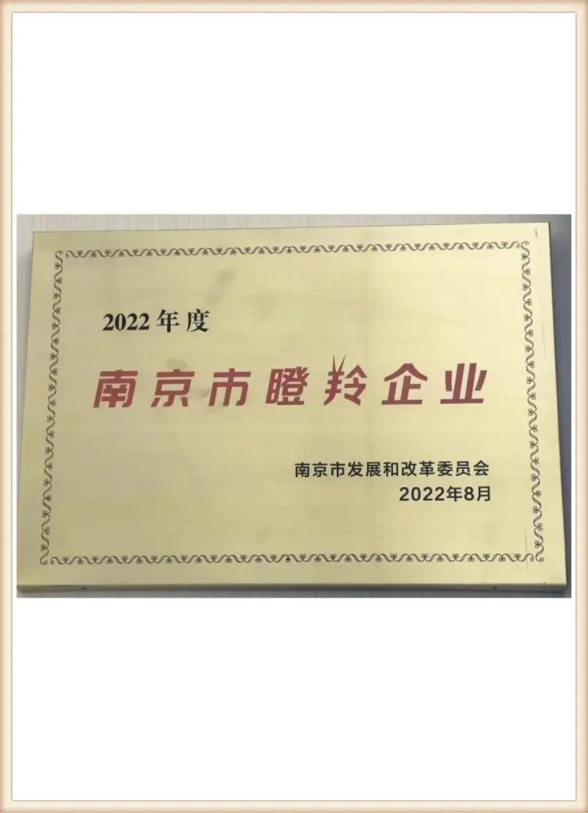 Nanjing Gazelle Enterprise