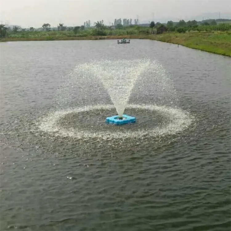 Fountain Aerator.jpg