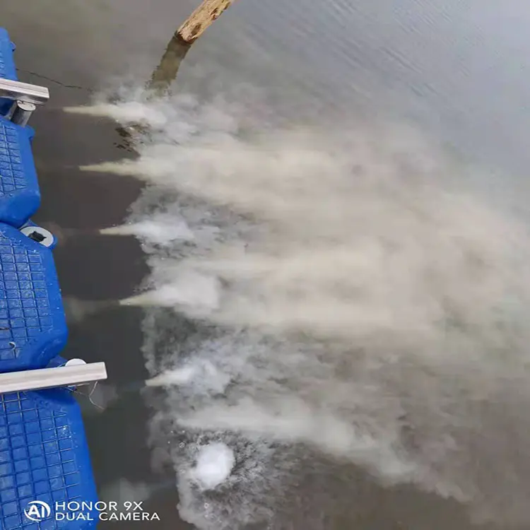 Ozone Micro-Nano Aerator